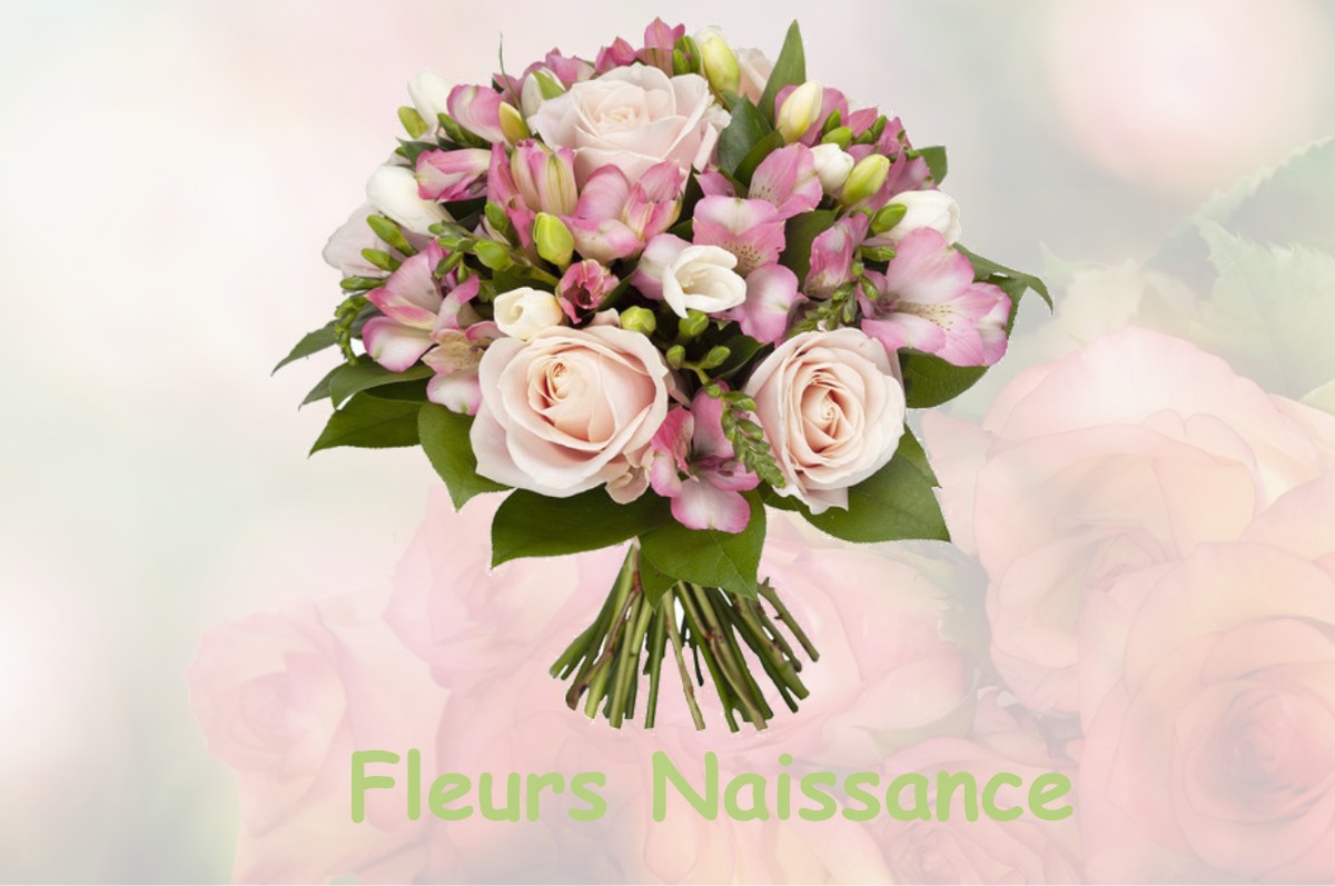 fleurs naissance ROUVILLE