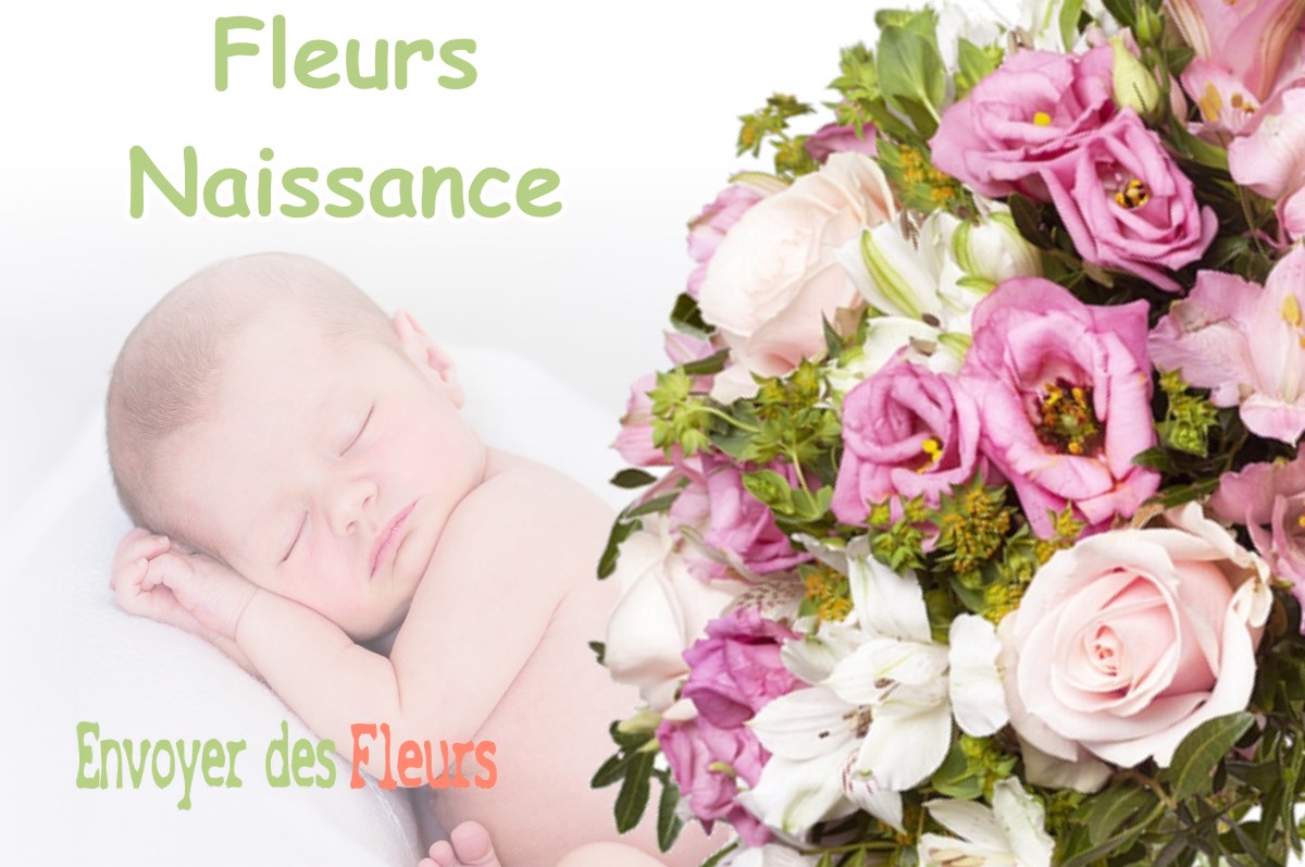 lIVRAISON FLEURS NAISSANCE à ROUVILLE